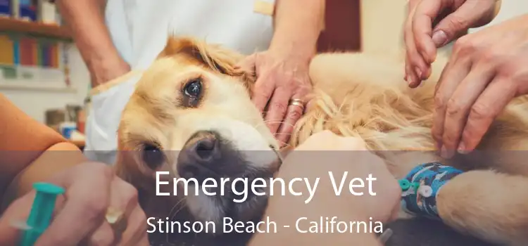 Emergency Vet Stinson Beach - California