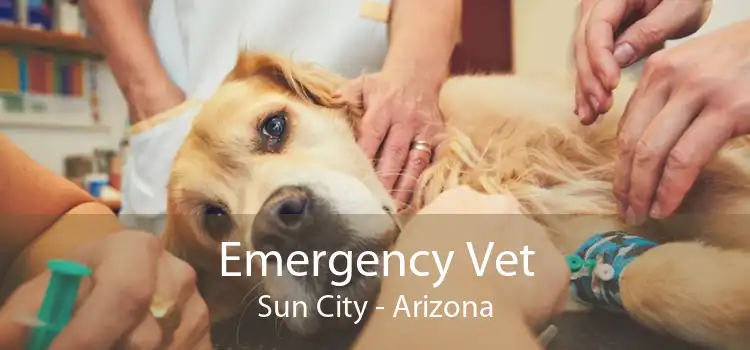 Emergency Vet Sun City - Arizona