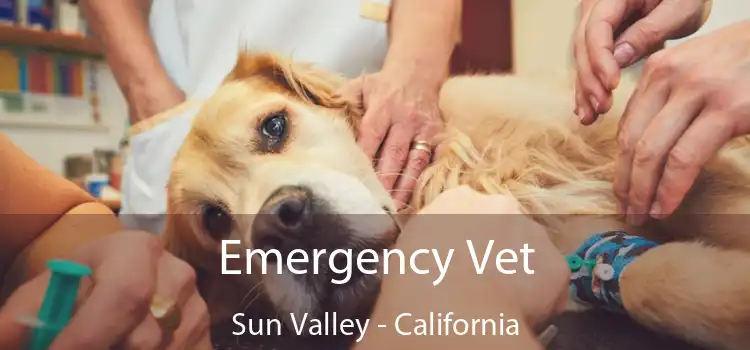 Emergency Vet Sun Valley - California