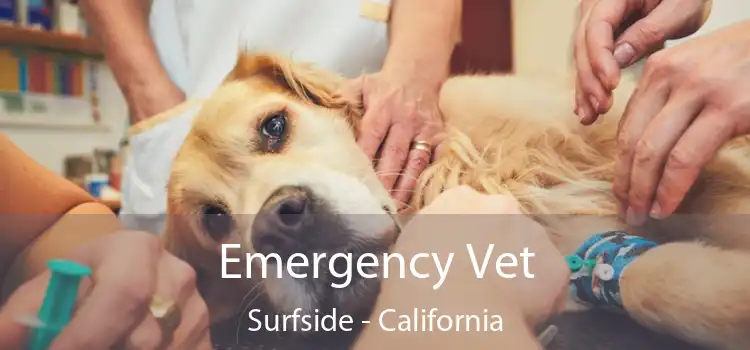 Emergency Vet Surfside - California