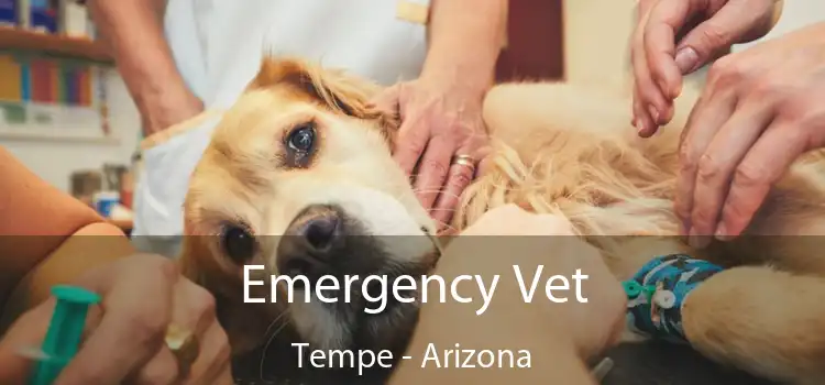 Emergency Vet Tempe - Arizona