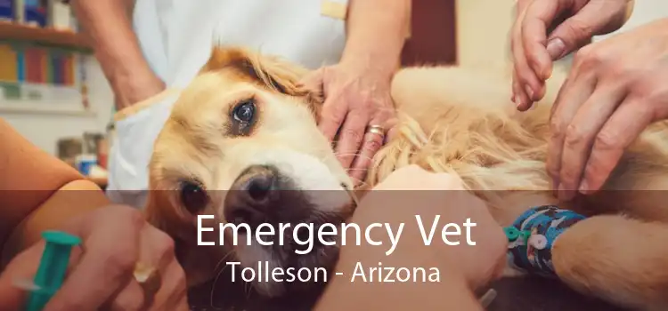 Emergency Vet Tolleson - Arizona