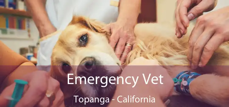 Emergency Vet Topanga - California