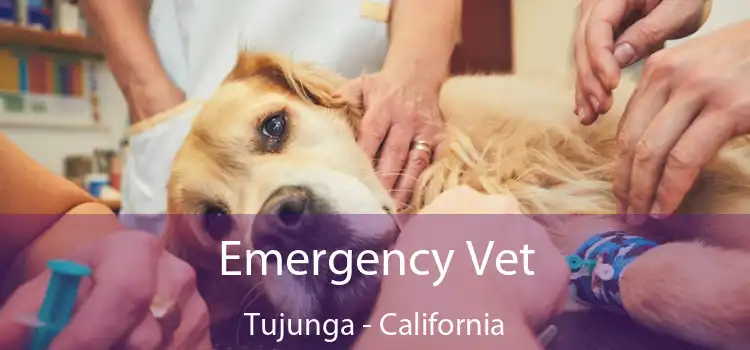 Emergency Vet Tujunga - California