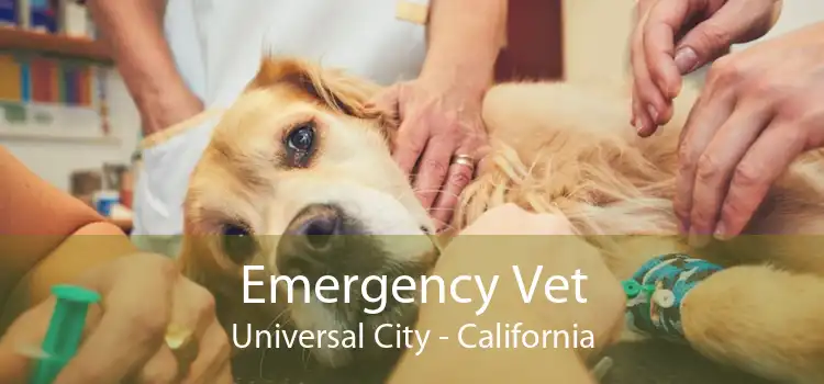 Emergency Vet Universal City - California