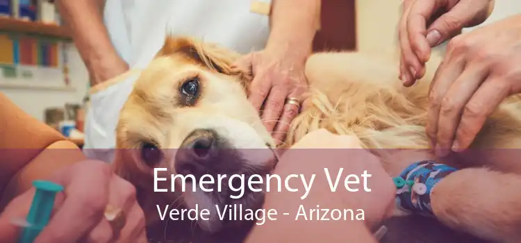 Emergency Vet Verde Village - Arizona