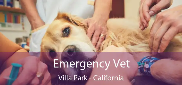 Emergency Vet Villa Park - California