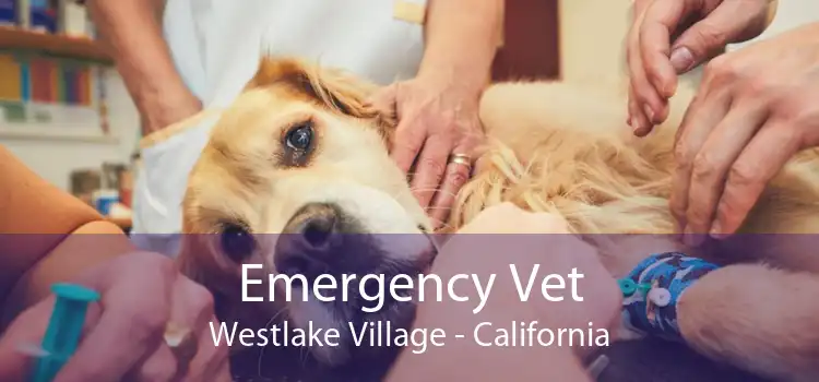 Emergency Vet Westlake Village - California