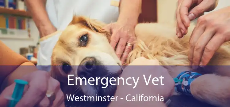 Emergency Vet Westminster - California