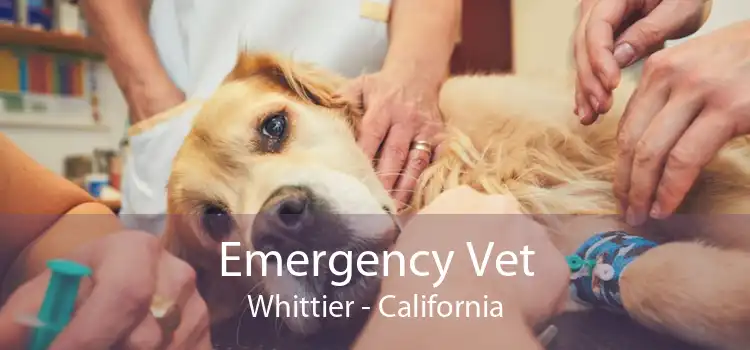 Emergency Vet Whittier - California