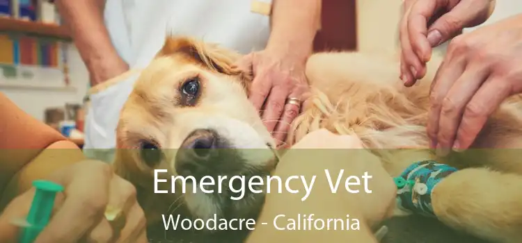 Emergency Vet Woodacre - California