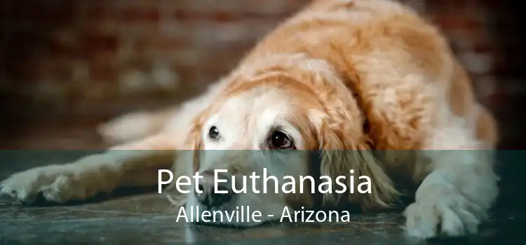 Pet Euthanasia Allenville - Arizona