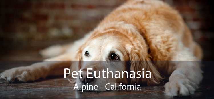 Pet Euthanasia Alpine - California