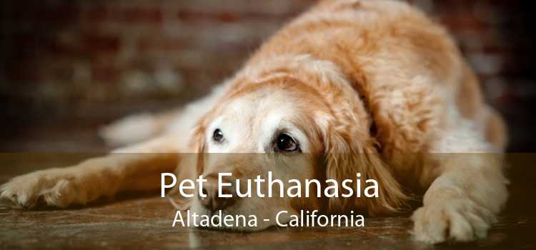 Pet Euthanasia Altadena - California