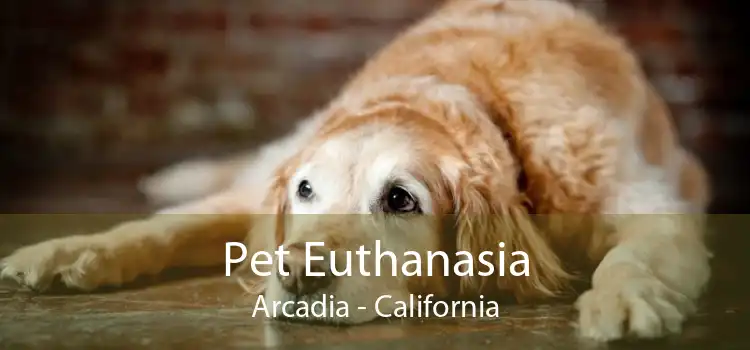 Pet Euthanasia Arcadia - California