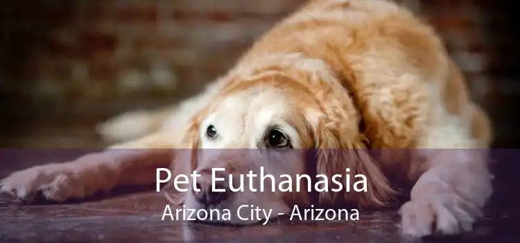 Pet Euthanasia Arizona City - Arizona