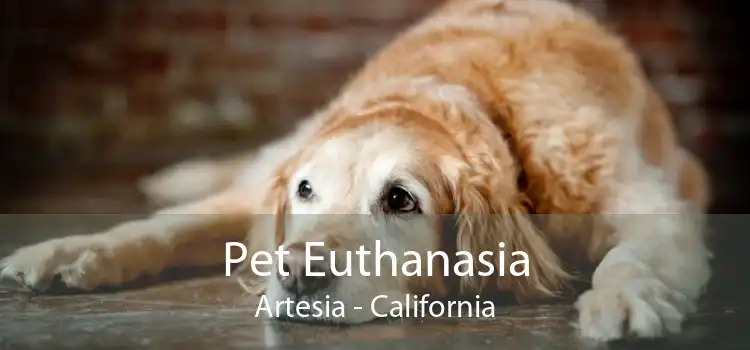 Pet Euthanasia Artesia - California