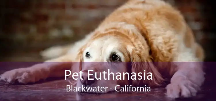 Pet Euthanasia Blackwater - California