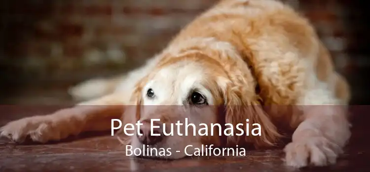 Pet Euthanasia Bolinas - California