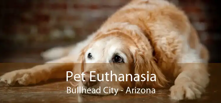 Pet Euthanasia Bullhead City - Arizona