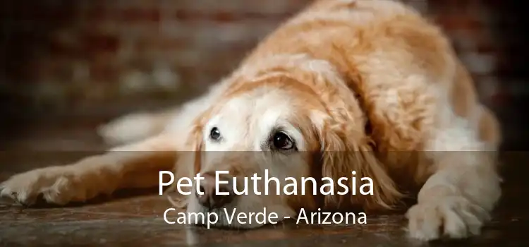 Pet Euthanasia Camp Verde - Arizona