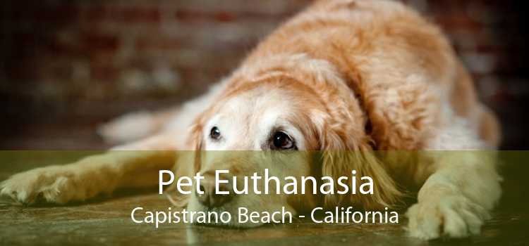 Pet Euthanasia Capistrano Beach - California