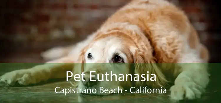 Pet Euthanasia Capistrano Beach - California