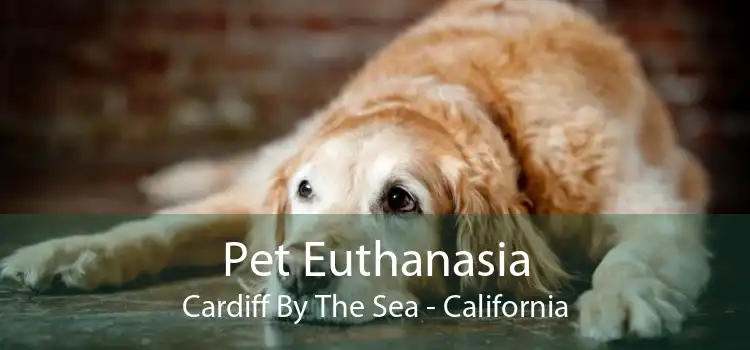 Pet Euthanasia Cardiff By The Sea - California