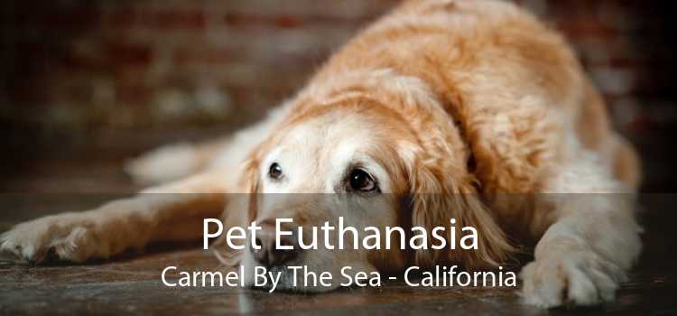 Pet Euthanasia Carmel By The Sea - California
