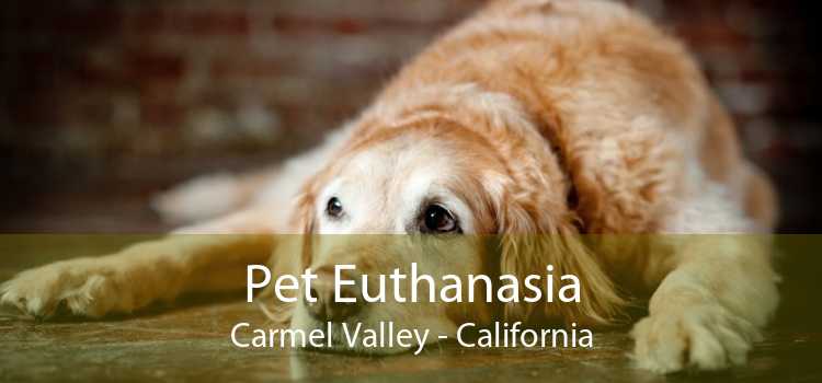 Pet Euthanasia Carmel Valley - California