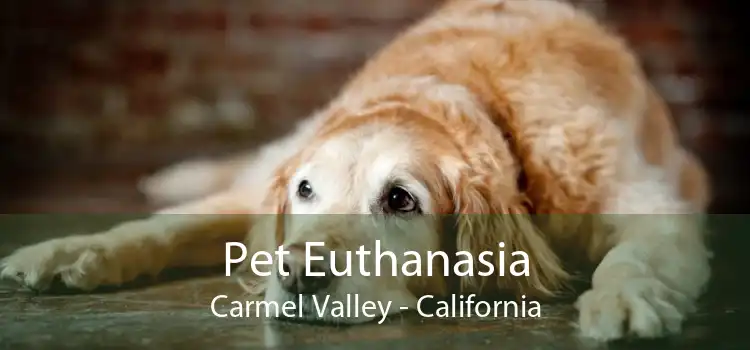Pet Euthanasia Carmel Valley - California