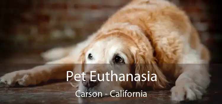 Pet Euthanasia Carson - California