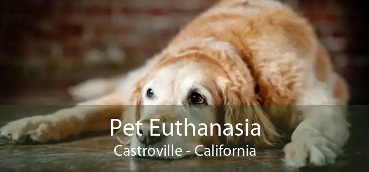 Pet Euthanasia Castroville - California