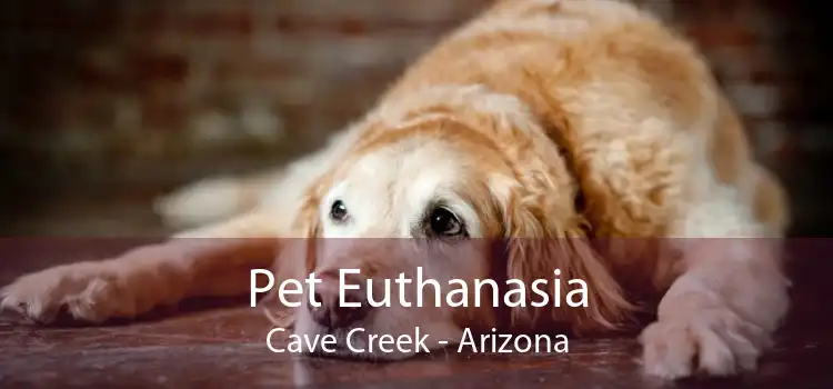 Pet Euthanasia Cave Creek - Arizona