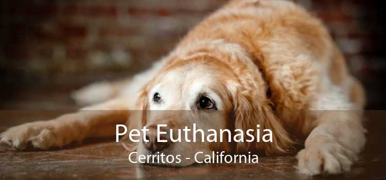 Pet Euthanasia Cerritos - California