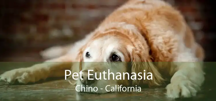 Pet Euthanasia Chino - California