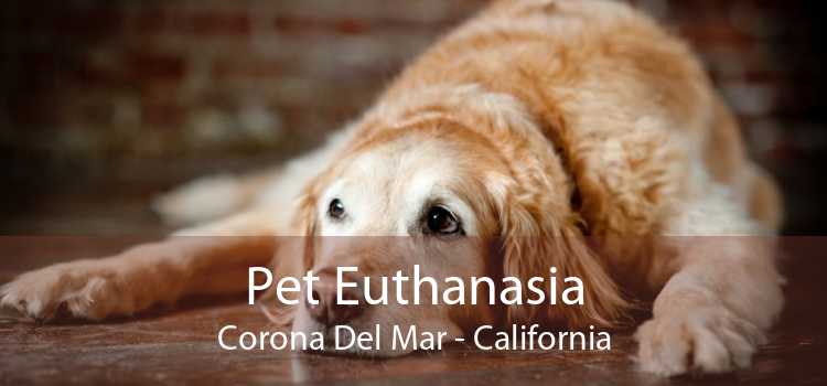 Pet Euthanasia Corona Del Mar - California
