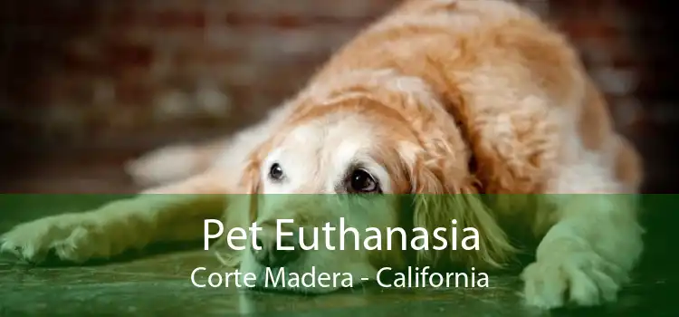 Pet Euthanasia Corte Madera - California
