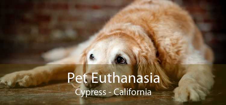 Pet Euthanasia Cypress - California
