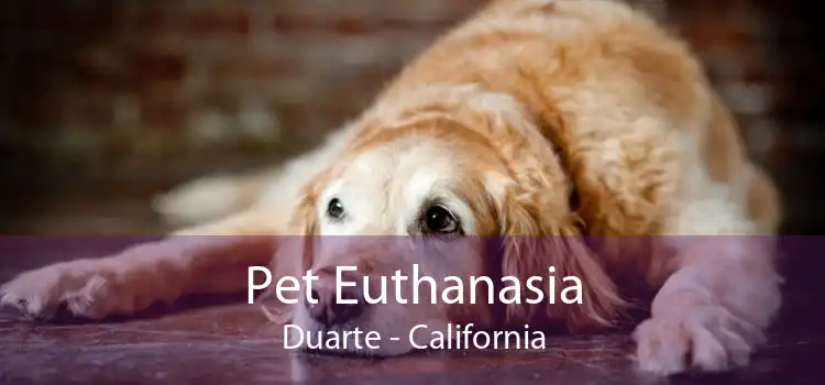 Pet Euthanasia Duarte - California