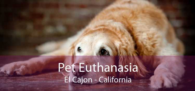 Pet Euthanasia El Cajon - California