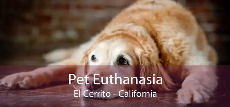 Pet Euthanasia El Cerrito - California