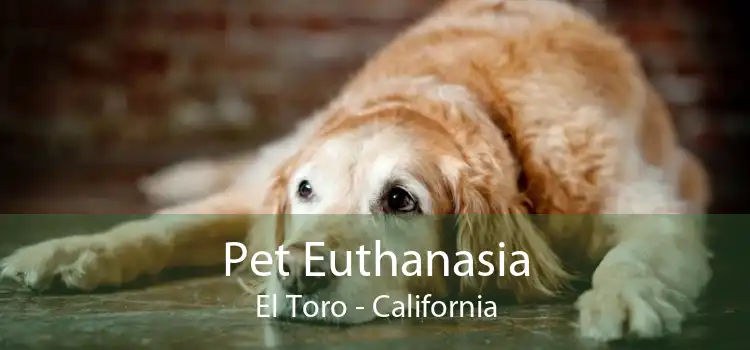 Pet Euthanasia El Toro - California
