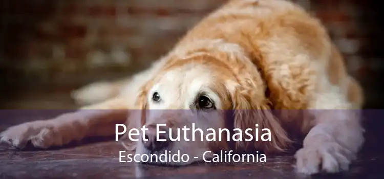 Pet Euthanasia Escondido - California
