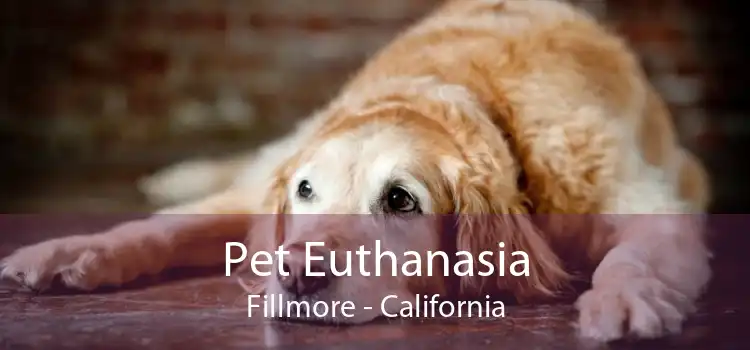 Pet Euthanasia Fillmore - California