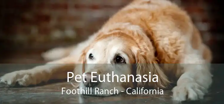 Pet Euthanasia Foothill Ranch - California