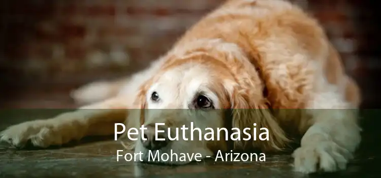 Pet Euthanasia Fort Mohave - Arizona