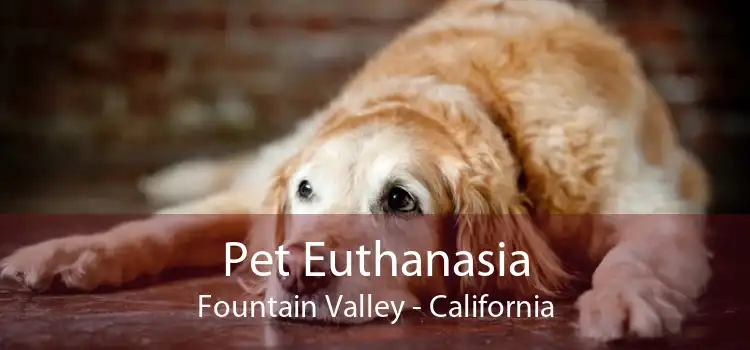 Pet Euthanasia Fountain Valley - California