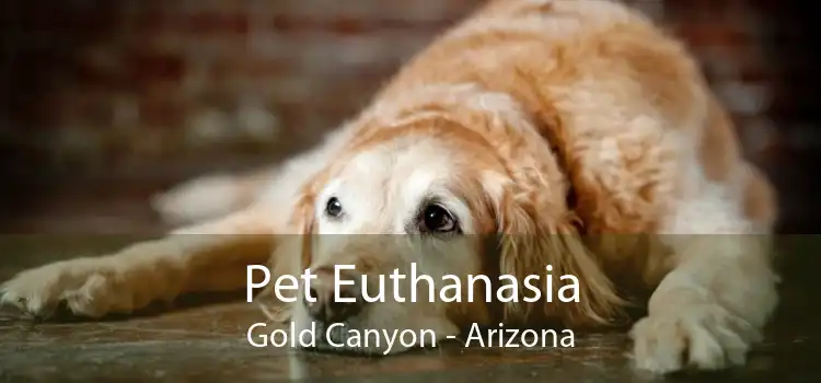 Pet Euthanasia Gold Canyon - Arizona