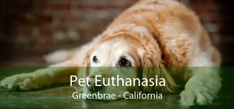 Pet Euthanasia Greenbrae - California